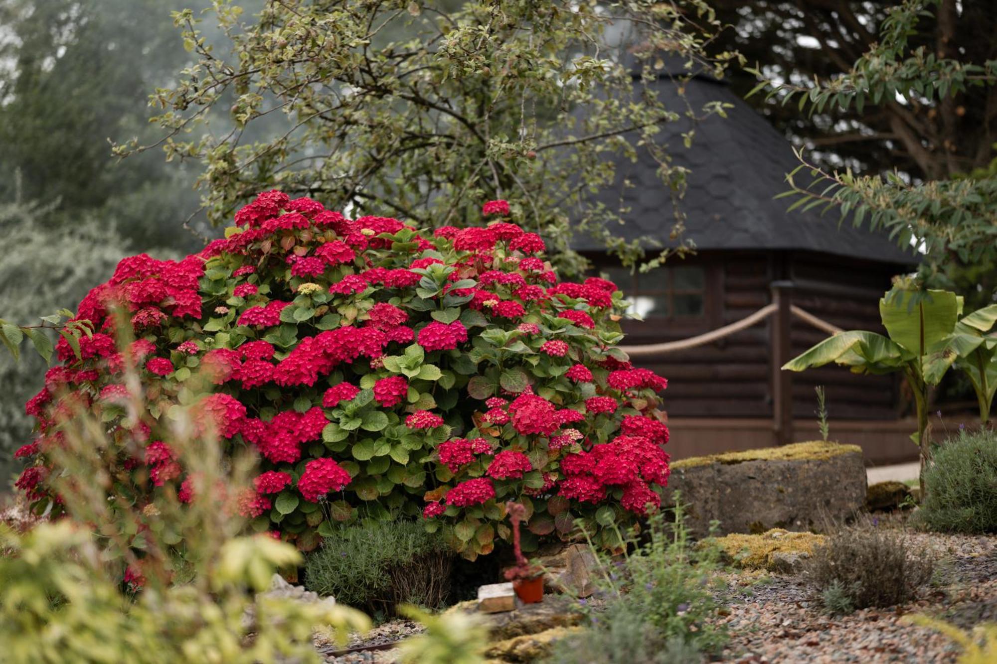 Lakescape - Waterfront Self- Catering Cabins Enniskillen Esterno foto